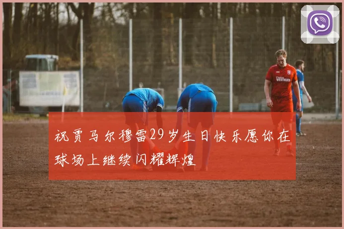 祝贾马尔穆雷29岁生日快乐愿你在球场上继续闪耀辉煌