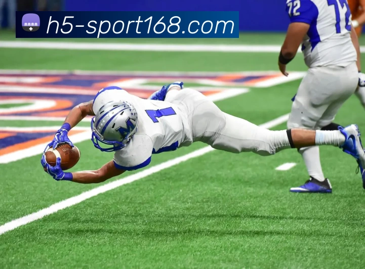 168体育APP 封面图